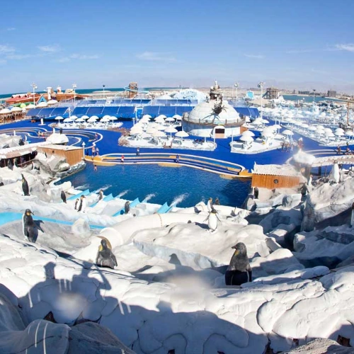 АквапаркIce Land
15 мин